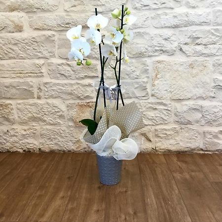 B&B Sant'Agostino Giovinazzo Luaran gambar